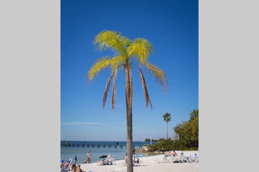 Sea Breeze, Studio 510, Beach Steps Away!+Pool+Wifi ラスキン エクステリア 写真