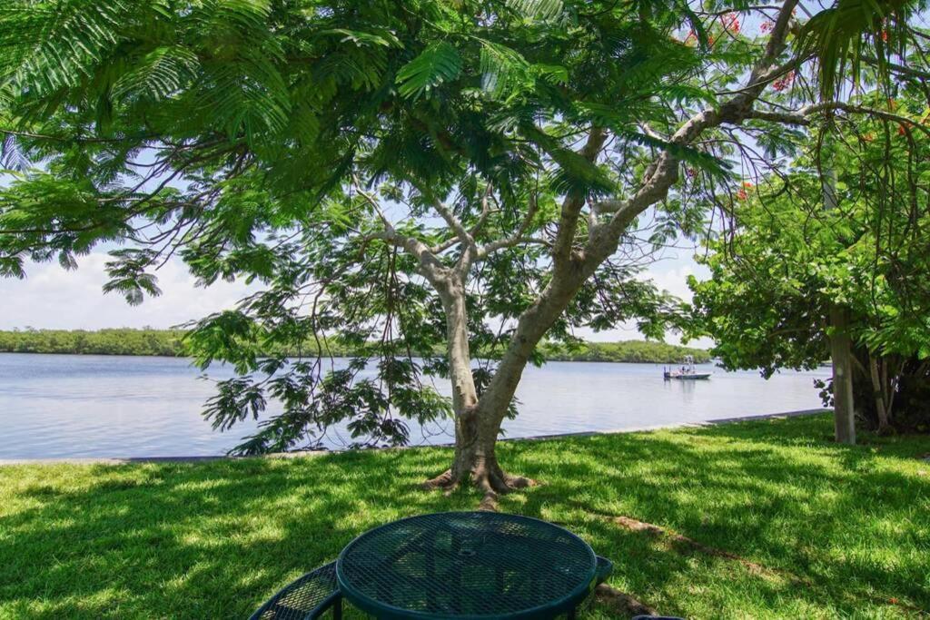 Sea Breeze, Studio 510, Beach Steps Away!+Pool+Wifi ラスキン エクステリア 写真